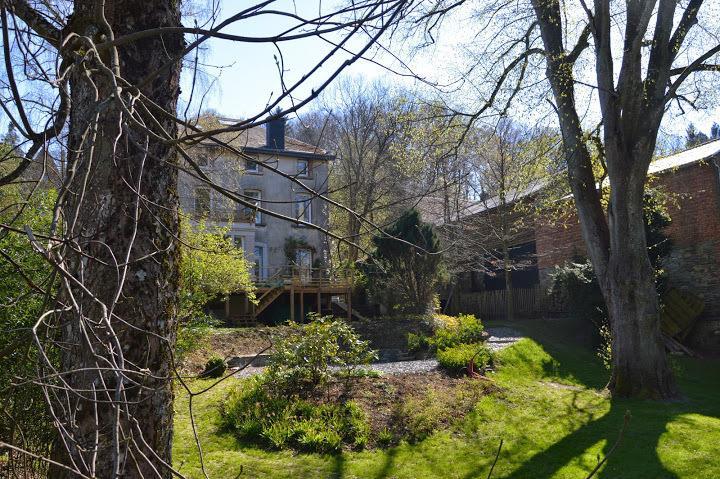 B&B Les Tilleuls Vielsalm Exterior foto